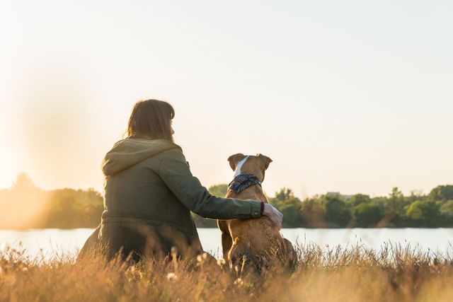 Cherished companions clearance pet crematory